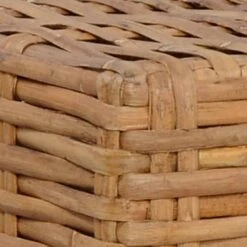 VidaXL Voetensteun Met Kussen Natuurlijk Rattan 6 VidaXL Voetensteun Met Kussen Natuurlijk Rattan -Stijlvolle Tuinmeubelwinkel 17f5d8865669447aa04821a17c8741a9